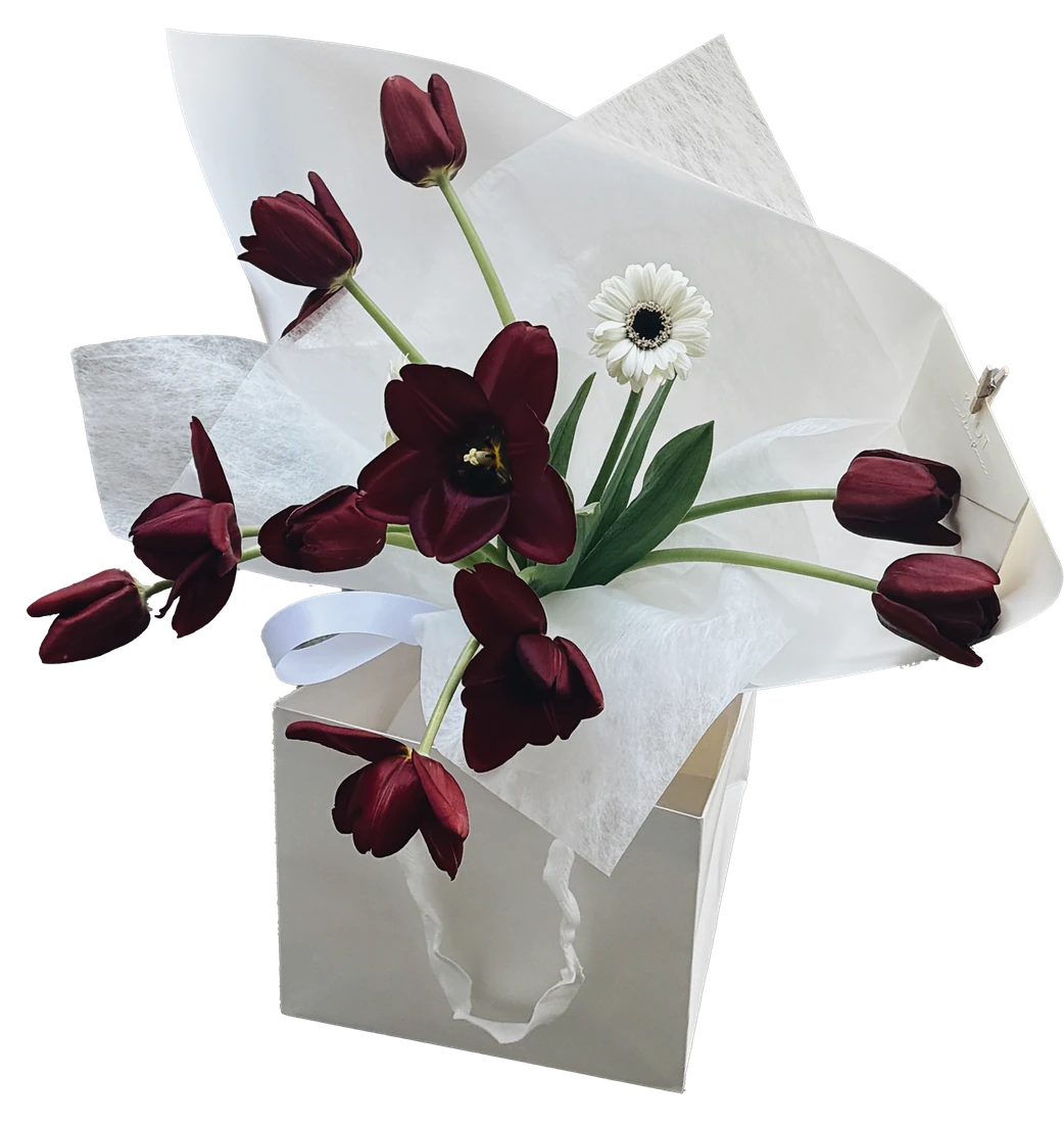 Ramo de tulipán vino y gerbera blanca