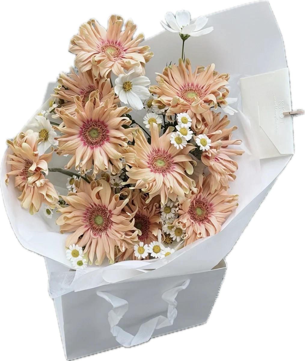 Ramo de gerberas durazno con margaritas y cosmos blanco